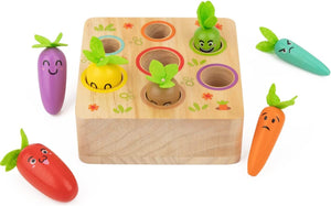 Color and Shapes Sorting Montessori Toys -Wooden  Vegetables Carrot Harvest Game with Facial Expressions Moods